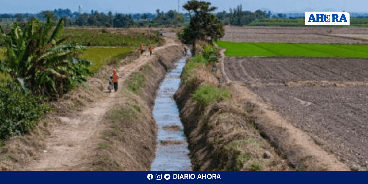 Economía peruana crece 4.47% en julio pese a caída del sector agrícola