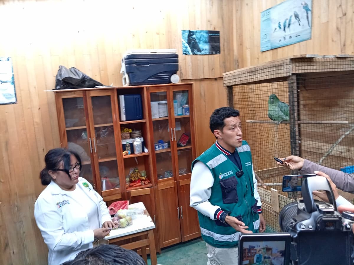 Conflicto por intervención de loro reaviva tensiones entre ciudadanos y entidad forestal