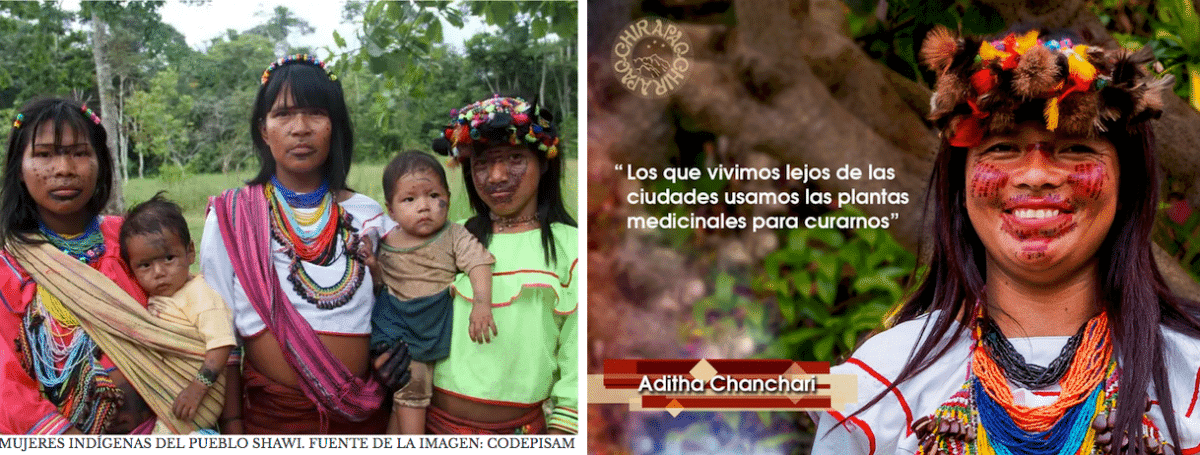 Por qué la derecha sigue apoyando la ivermectina