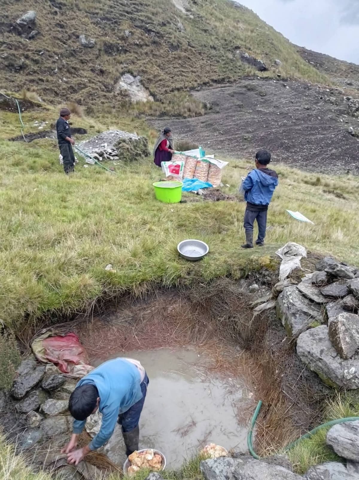 Santa María del Valle: Pobladores extraen tocosh de forma artesanal, tradición andina conocida como la “penicilina andina”