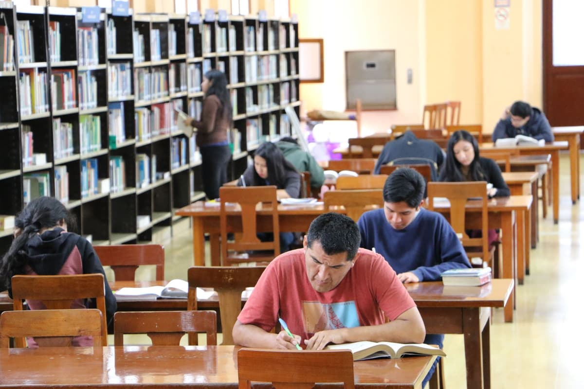 Lectura en alza: Visitas a bibliotecas se multiplican, pero 9 de cada 10 distritos no tienen una