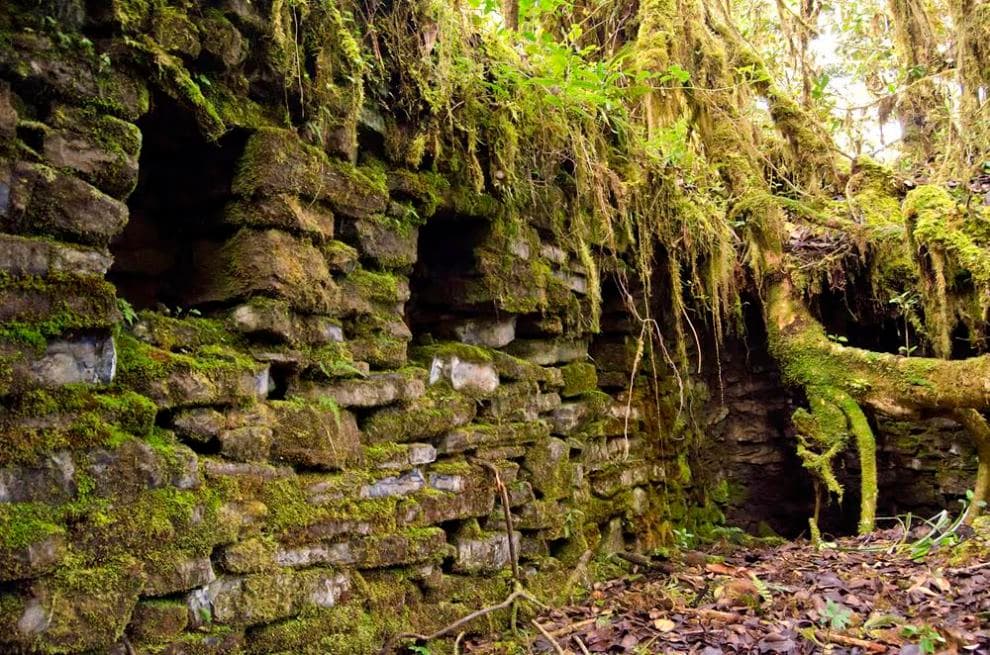 EL PATRIMONIO CULTURAL SE CUIDA NO SE DESTRUYE