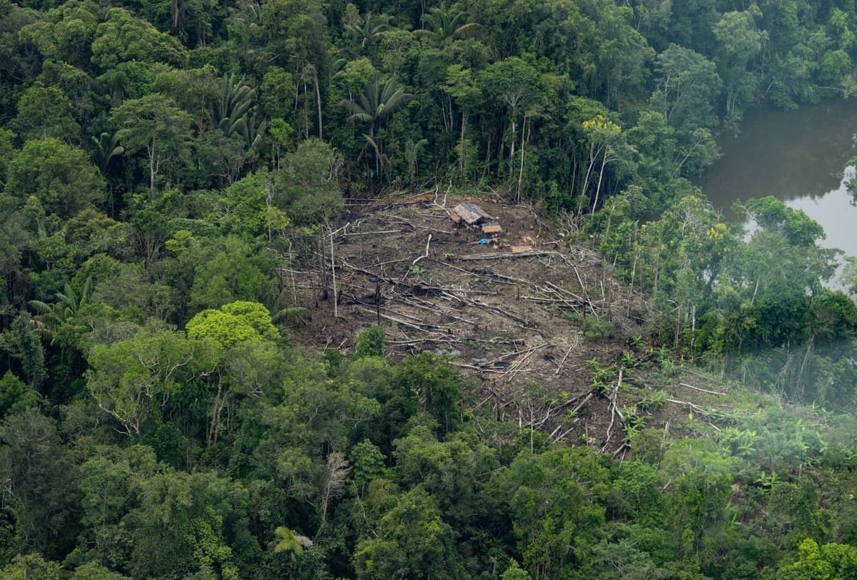 Minería ilegal desata nuevas agresiones contra agricultores en Puerto Inca