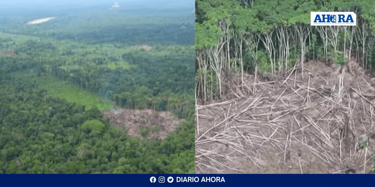 Conflicto por explotación maderera en Madre de Dios deja dos muertos y dos desaparecidos