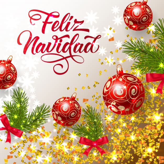 Y LLEGA LA NAVIDAD