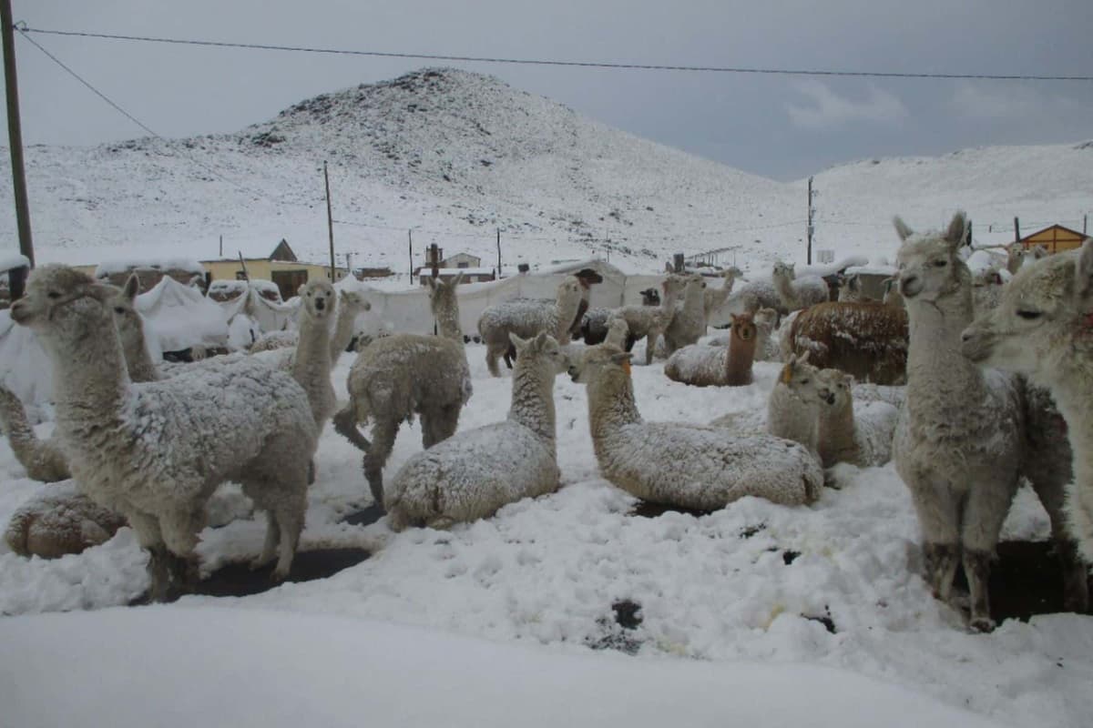 Alerta naranja: Advertencia de lluvias, granizo y nieve en la sierra de Huánuco