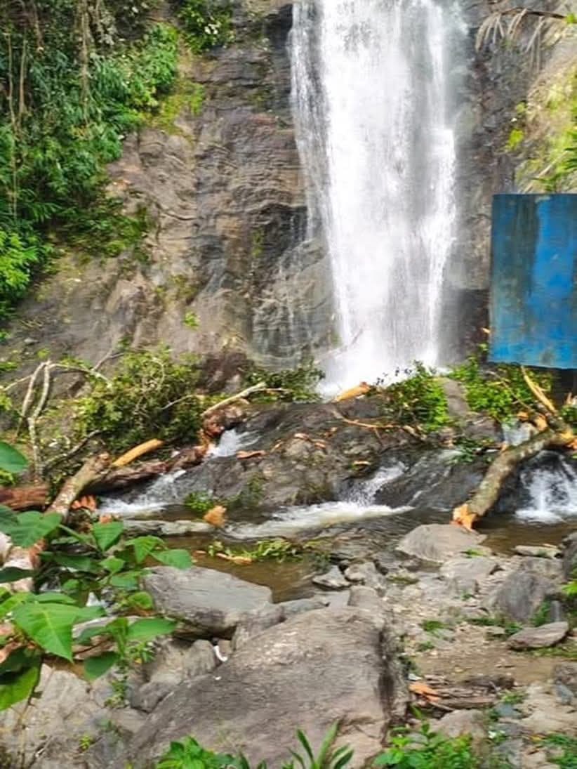Denuncian que empresa de electrificación arrasa con la naturaleza en Monzón
