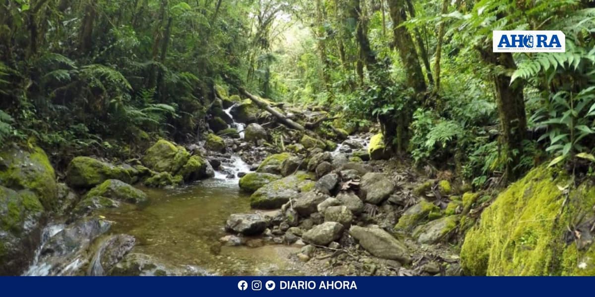 Oxapampa celebra el 38° aniversario del Parque Nacional Yanachaga Chemillén