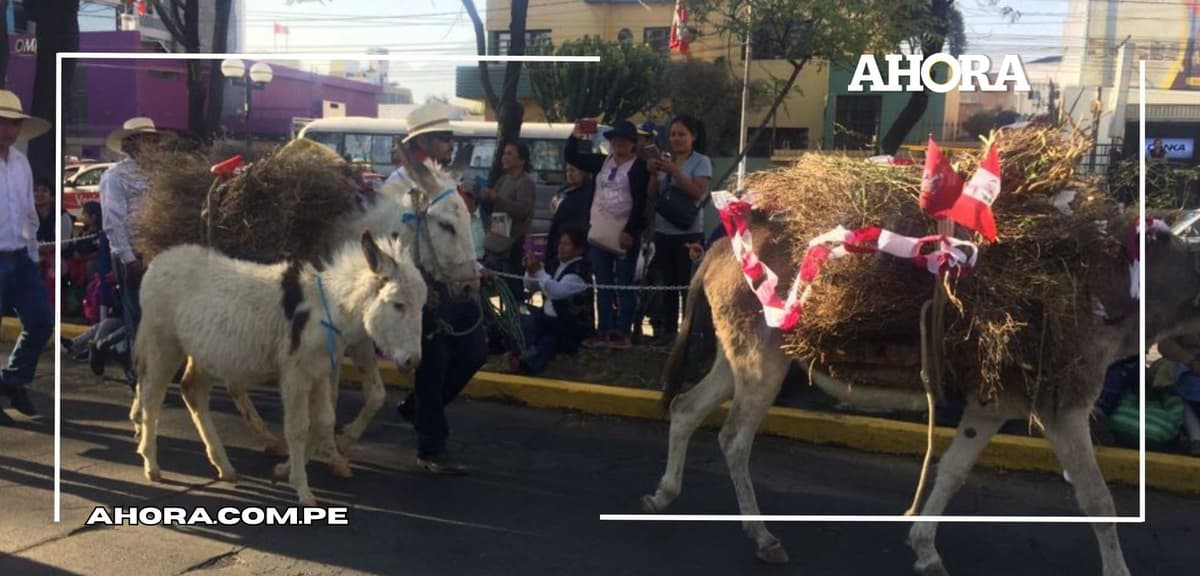 La entrada de Ccapo retorna a Arequipa por su 483.° aniversario