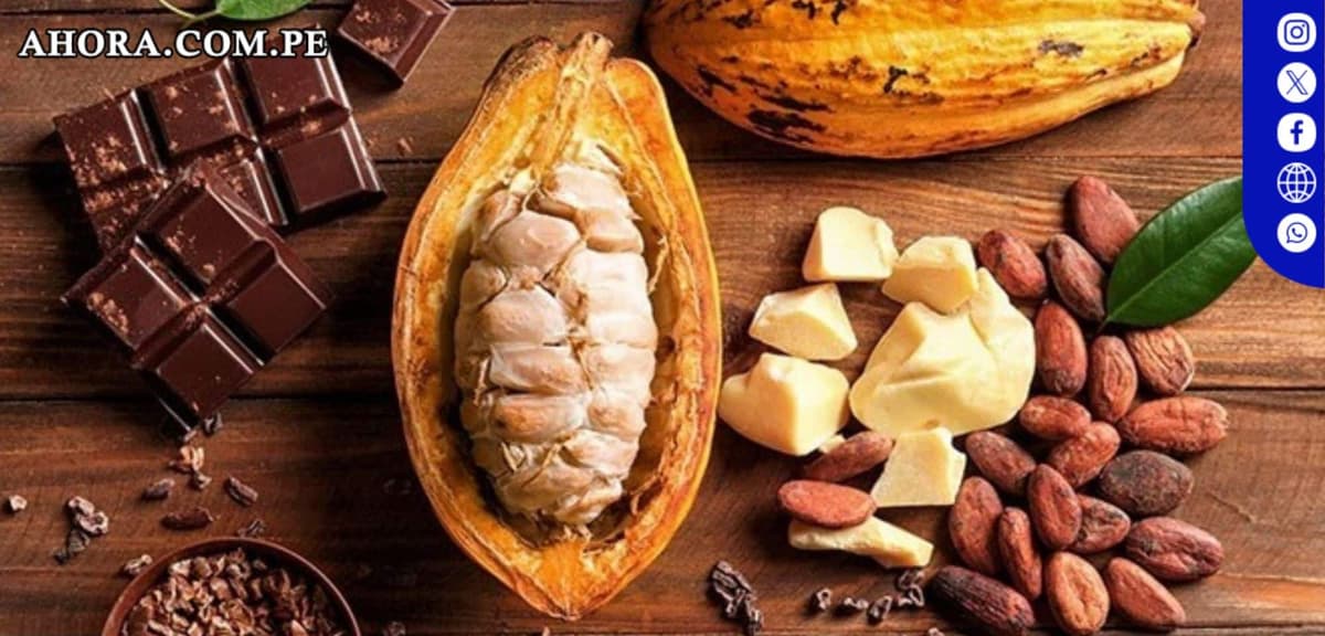 El cacao bate récords y supera los 10 000 dólares la tonelada