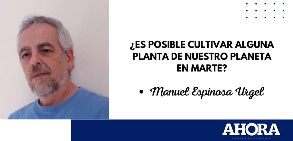 ¿Es posible cultivar alguna planta de nuestro planeta en Marte?