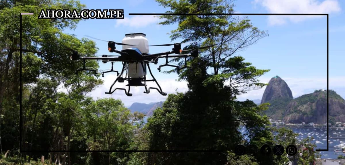 Revolucionando la reforestación: Río de Janeiro usa drones para sembrar áreas verdes