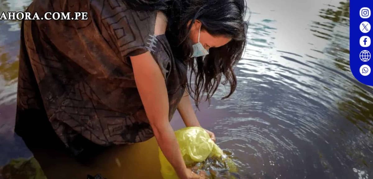 Plátanos y peces: El motor económico de comunidades nativas en Pasco