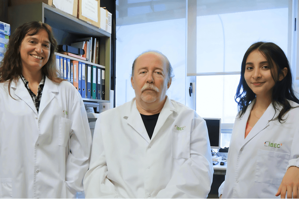 Recortes de fondos asestan un duro golpe a investigadores de educación STEM