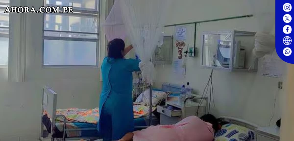 Siete muertos y 3350 infectados por dengue en Chincha