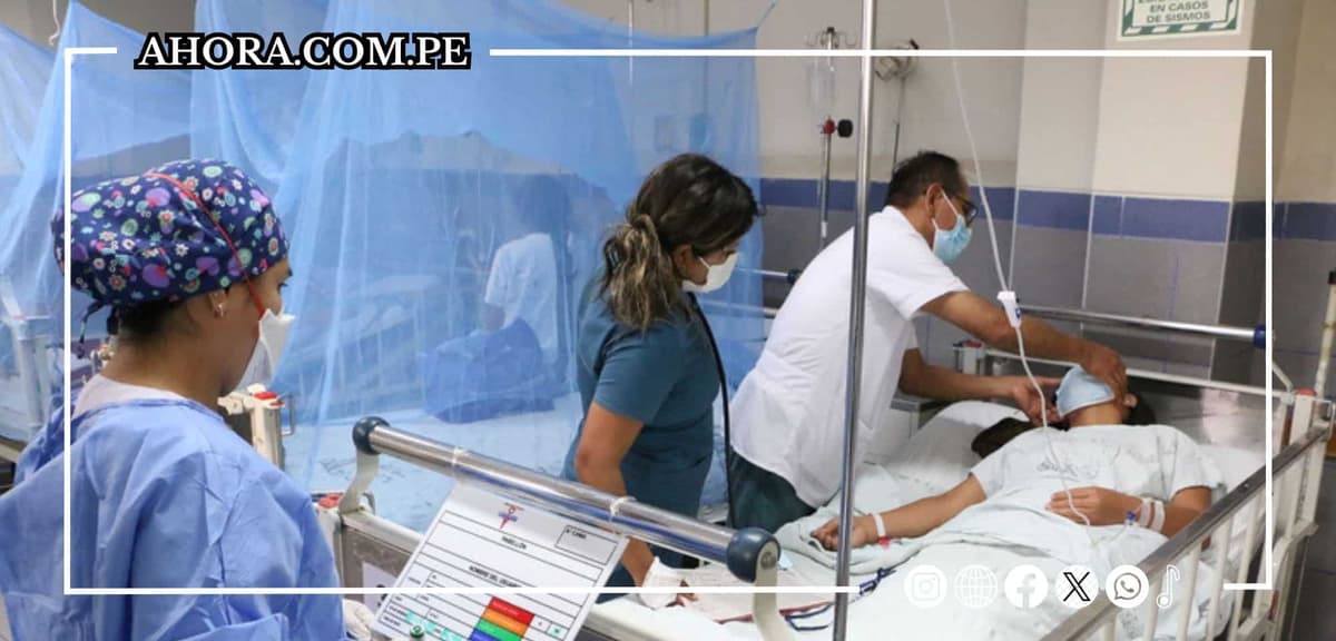 Récord histórico de casos de dengue en América Latina: Más de 4.1 millones en 2023