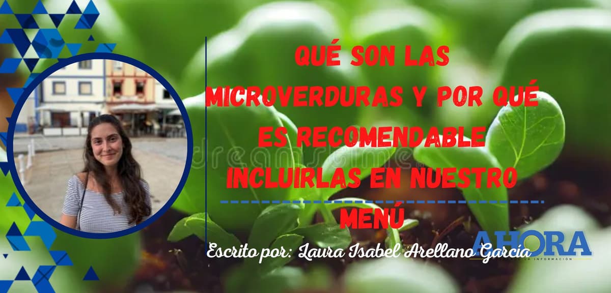 Qué son las microverduras y por qué es recomendable incluirlas en nuestro menú