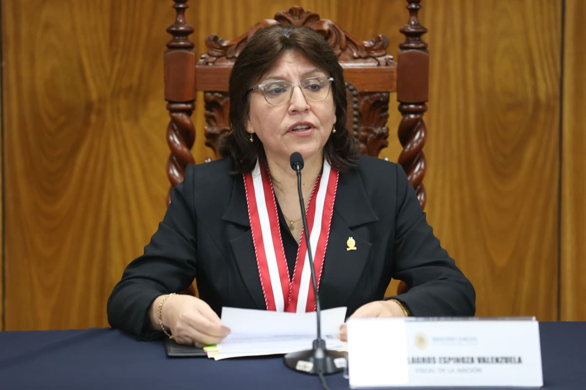 Fiscal de la Nación advierte que ley penal contra menores no frenará el crimen organizado