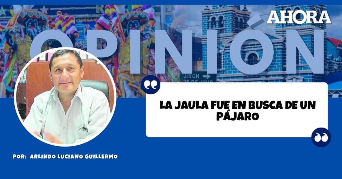 LA JAULA FUE EN BUSCA DE UN PÁJARO