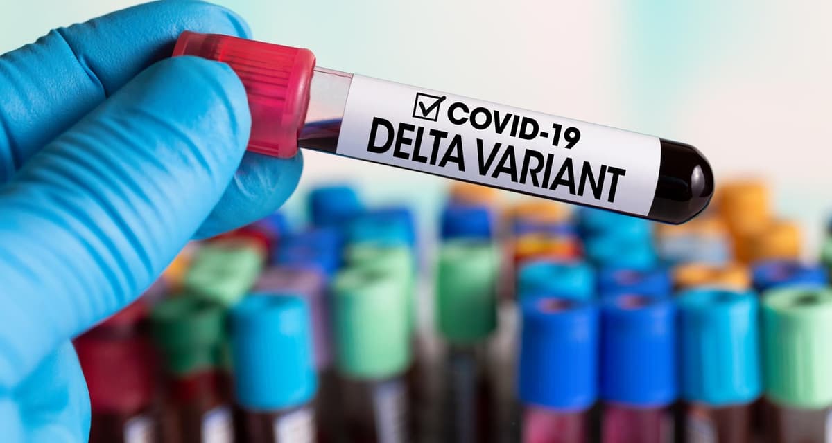 ¿Cómo debería cambiar la variante Delta nuestra forma de vida?