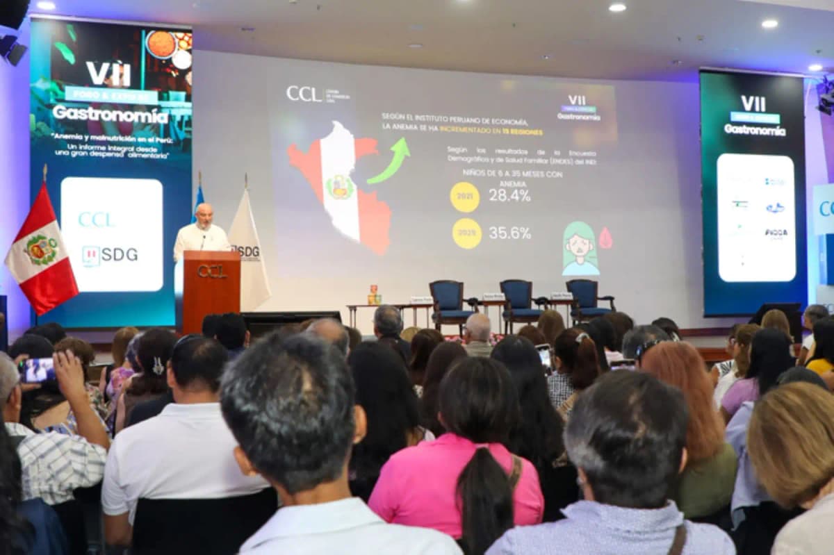 Anemia y malnutrición le cuestan al Perú más de US$ 10,500 millones, advierte la CCL