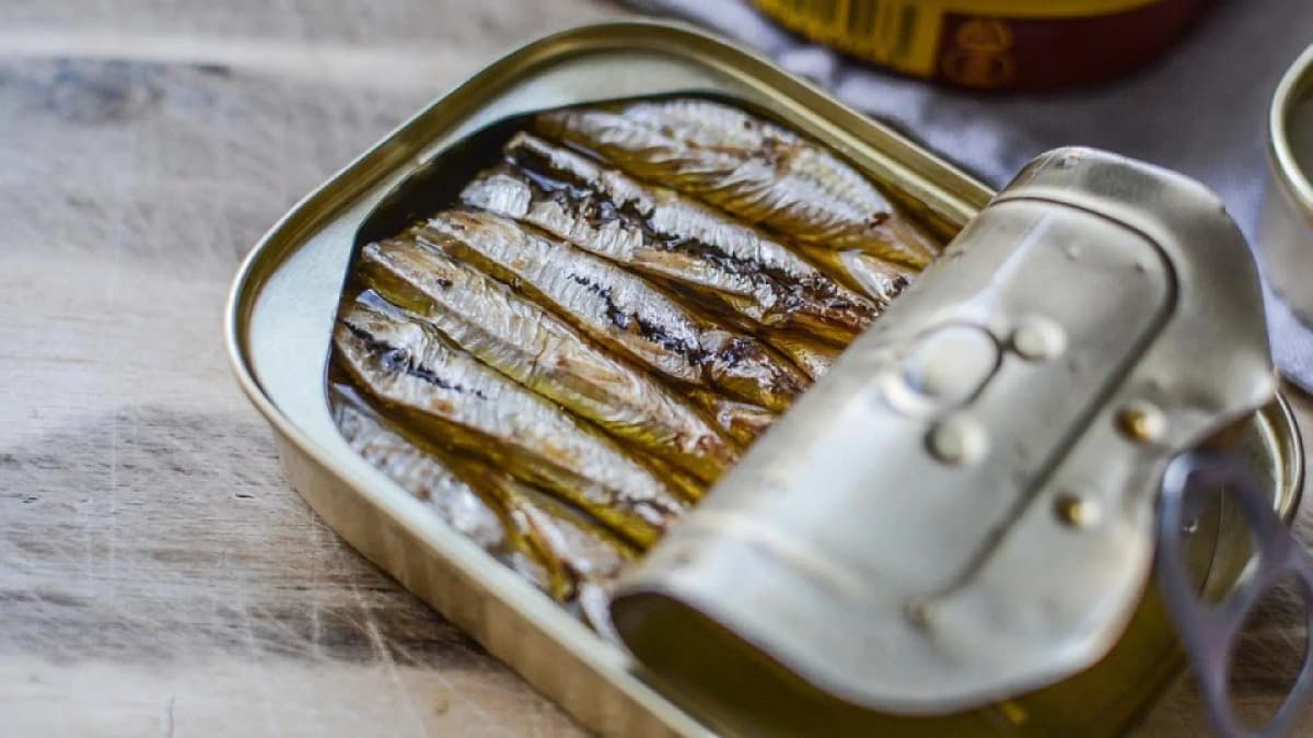 Peligros de ayuno de sardinas: Expertos advierten no es beneficioso