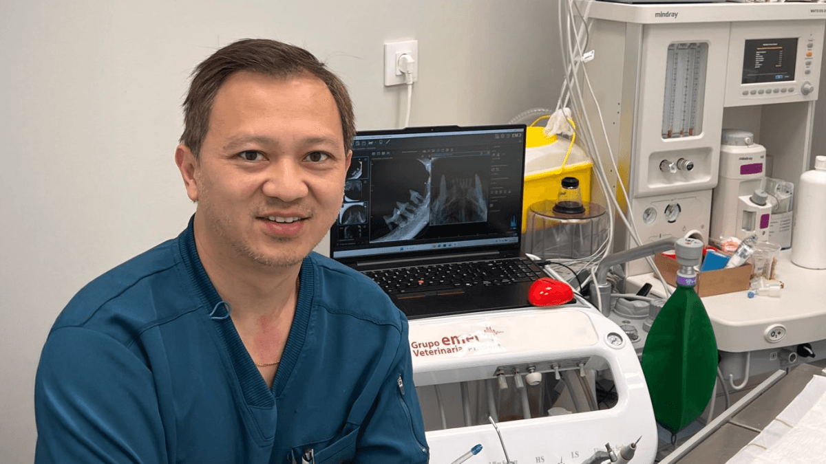 Paulo Chen, veterinario: boca enferma daña corazón y riñones
