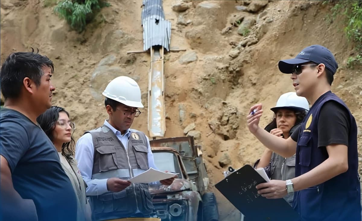 Condenan a más de 13 años de prisión a directivos por deforestación de bosque en Aucayacu