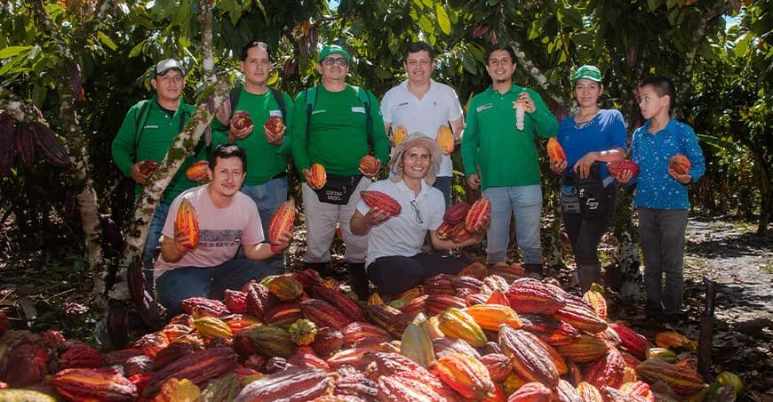 Cacao huanuqueño y derivados consolidan como cultivos de mayor proyección internacional  