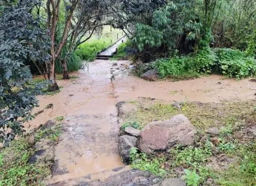 Lluvias intensas restringen visitas al complejo arqueológico Kotosh en Huánuco