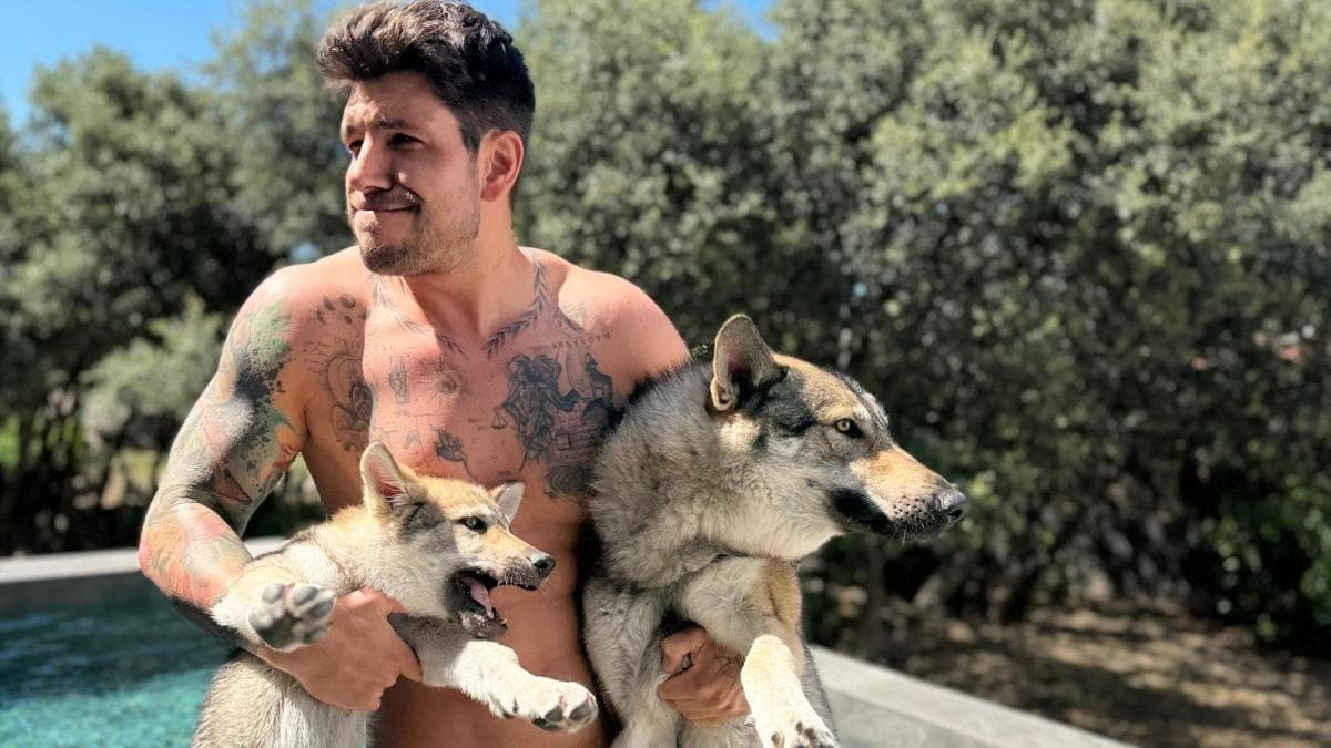 Diego Matamoros: Perros con sangre de lobo lo protegen al extremo