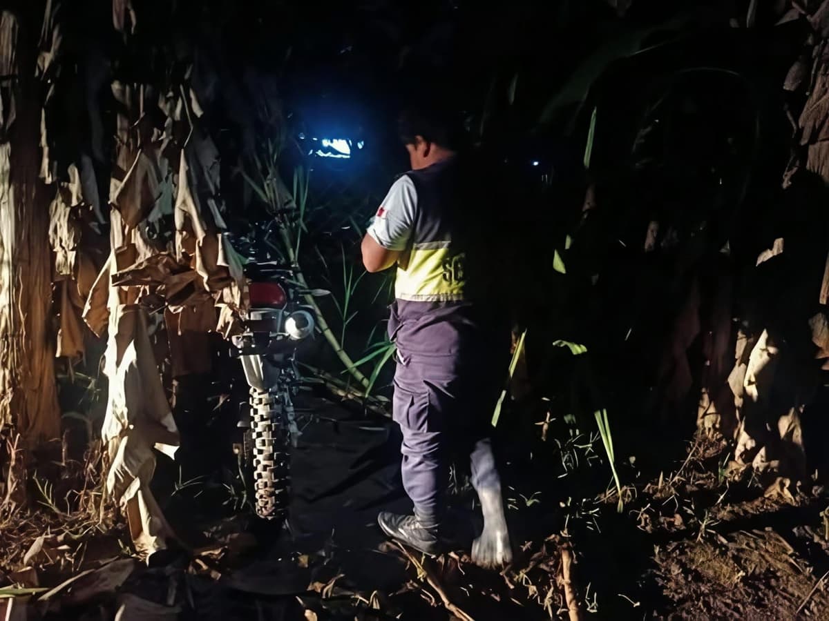 Ocultan motocicleta robada entre hojas de plátano y Serenazgo logra recuperarla
