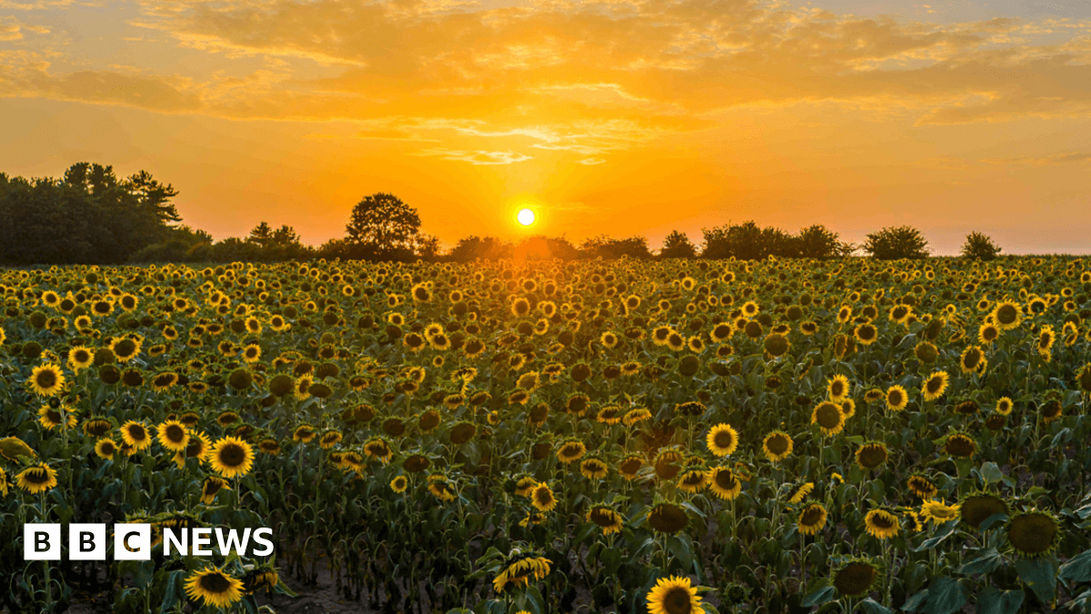 Pese a verano récord, menos muertes por calor en 2025
