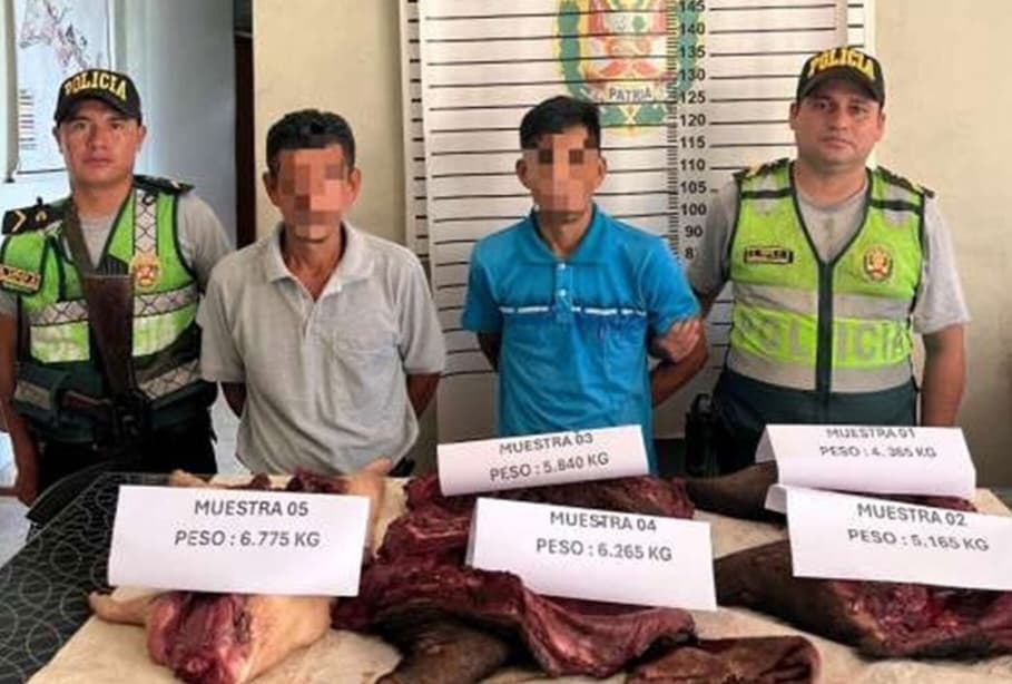 Decomisan carne de sajino y majaz en Tournavista