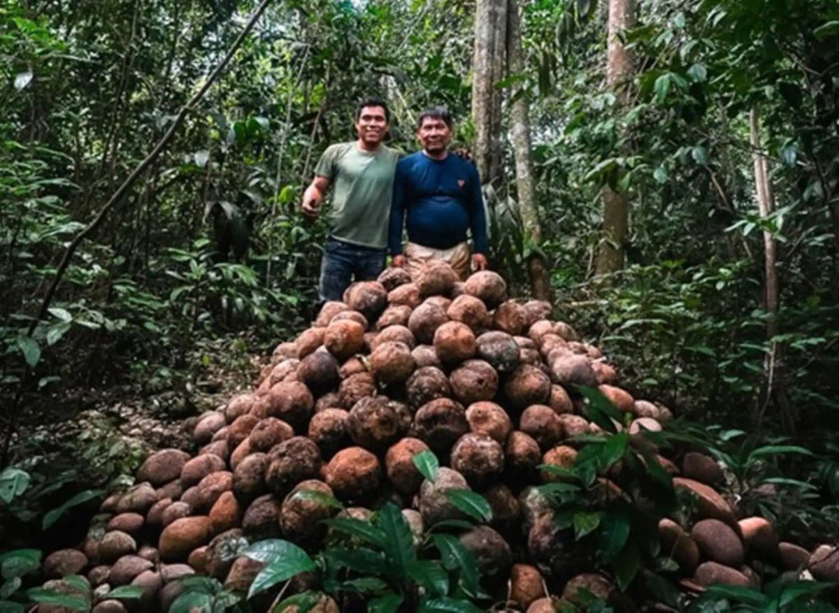 Operativos destruyen 370 campamentos de minería ilegal en la Reserva Tambopata