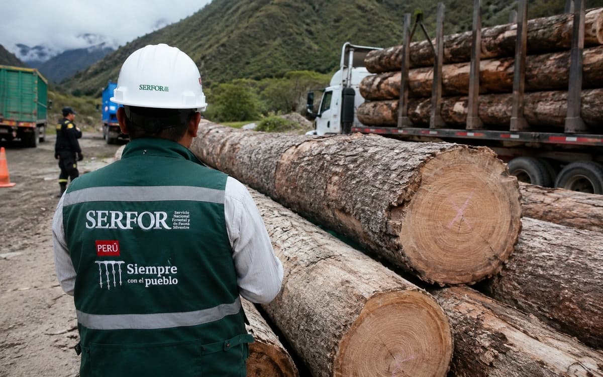 SERFOR: Qué es, qué hace y trámites — significado de las siglas