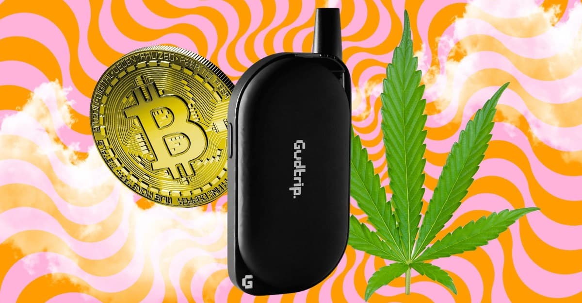 Un usuario busca el vape de hierba con inteligencia artificial que entrega Bitcoin