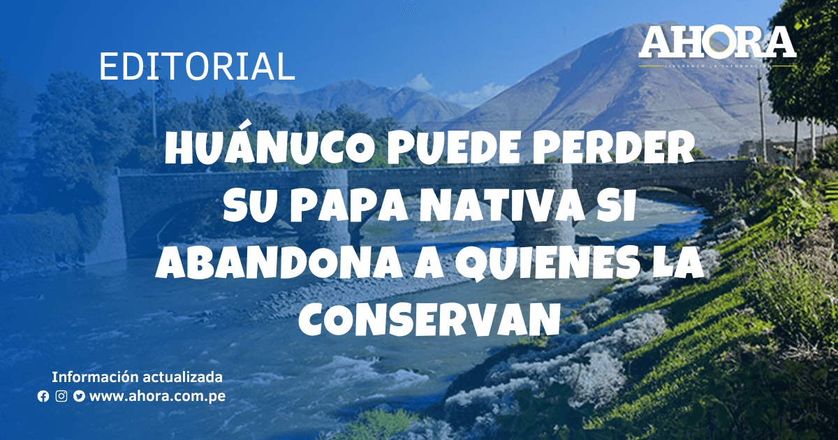 Huánuco puede perder su papa nativa si abandona a quienes la conservan