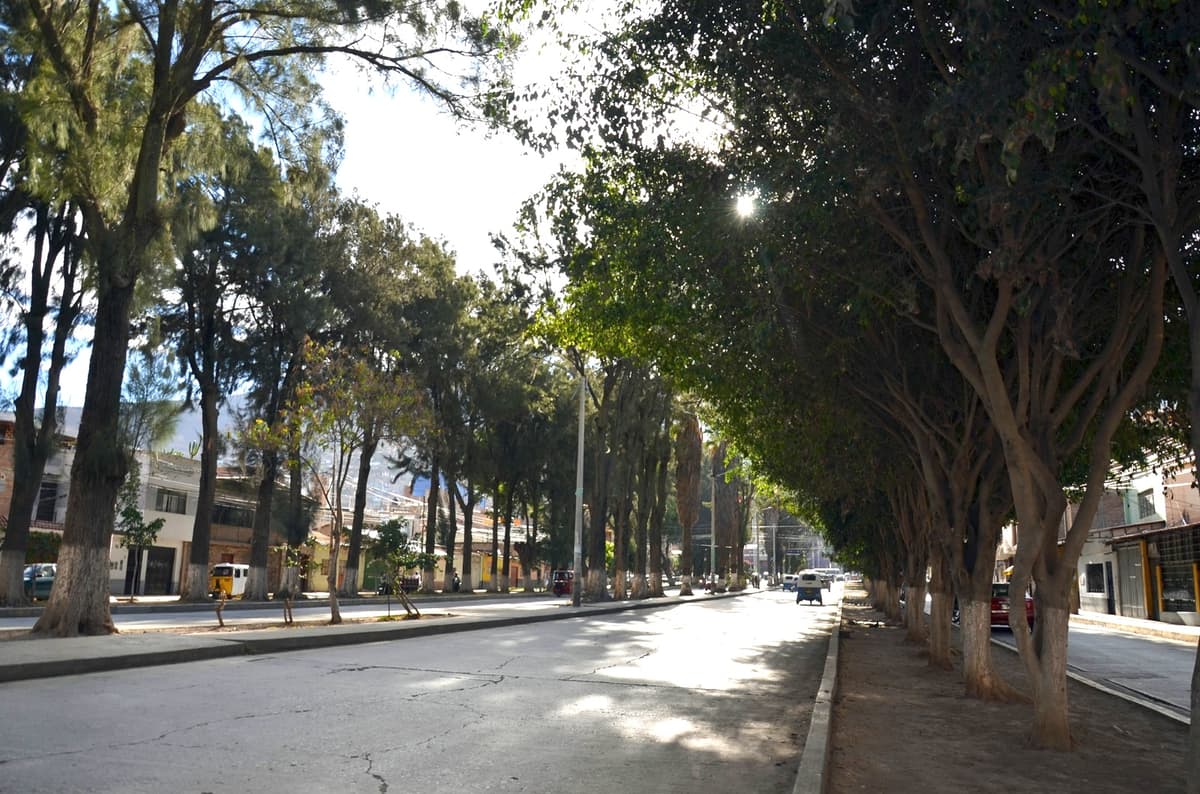 Alameda de la República espera evaluación final para posible declaratoria patrimonial