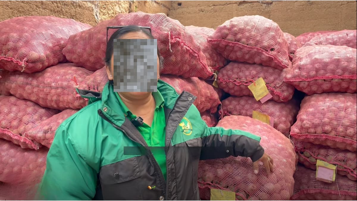 Papas nativas: Agricultura afirma que denunció a proveedor y extiende proyecto hasta 2028