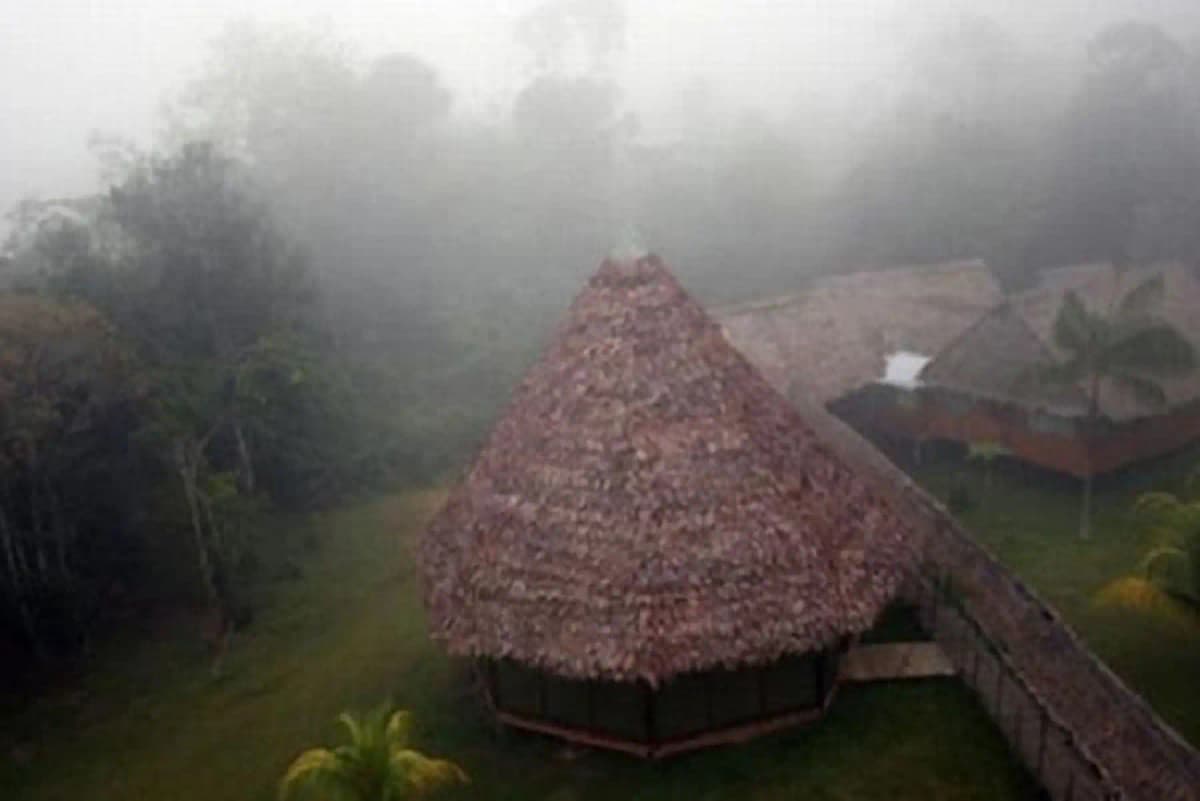 Senamhi: friaje de moderada intensidad bajará la temperatura en la selva de nueve regiones