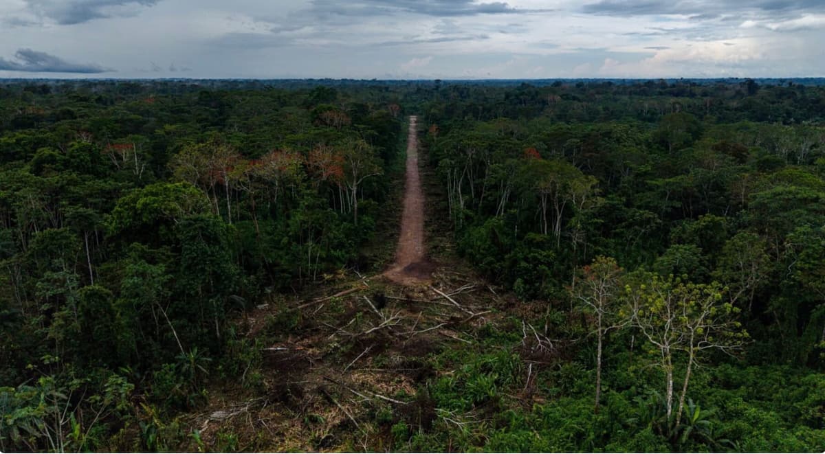 Santa Martha pierde 106 hectáreas mientras narcotráfico avanza sobre territorio kakataibo