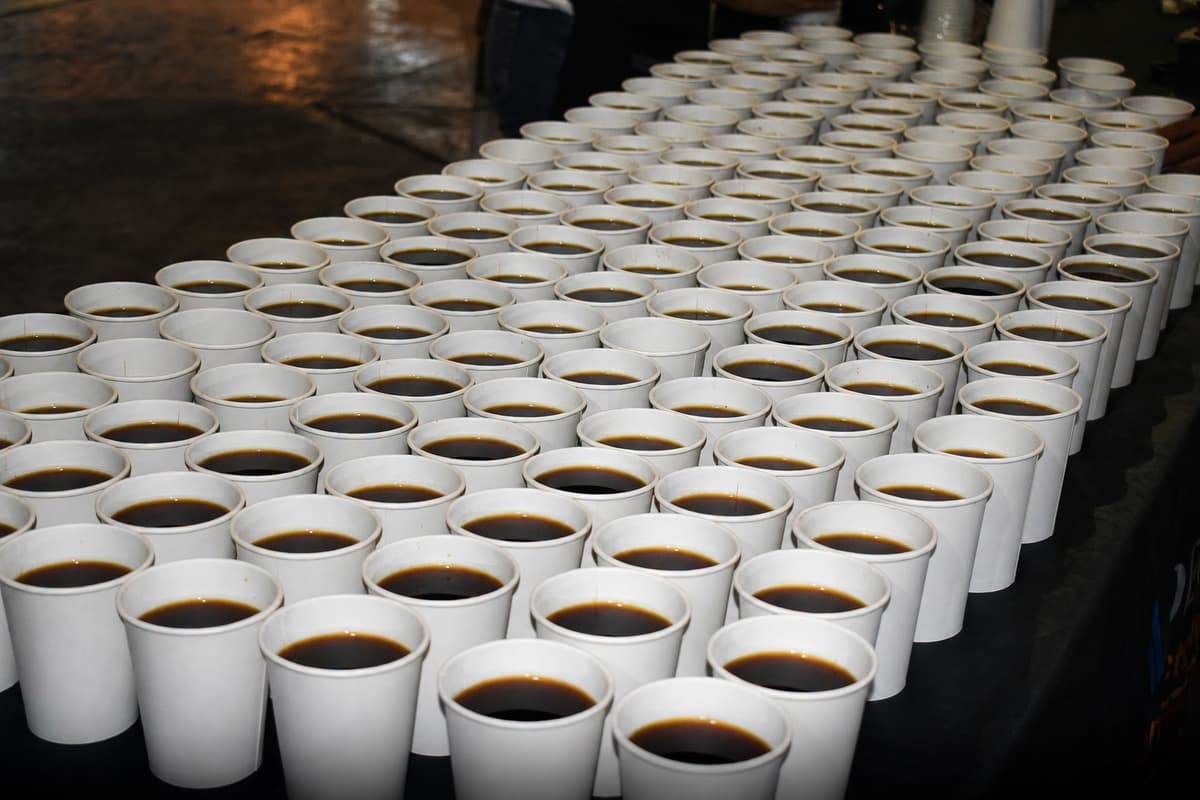 Más de 80 productores participaron en Festival del Café y Agricultura pide fortalecer consumo y mercados
