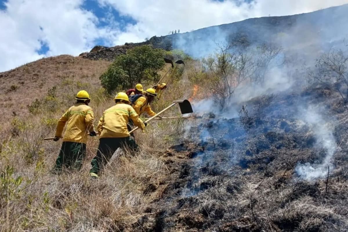 Extinguen cuatro incendios forestales en tres regiones y Huarochirí