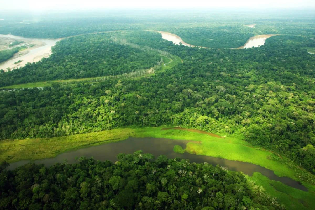Puerto Inca: Midagri aprueba zonificación que define uso de tierras forestales