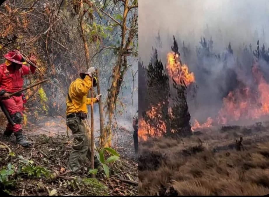 Incendio arrasa más de mil hectáreas y amenaza a comunidades asháninkas en Junín