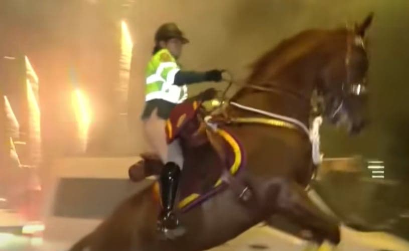 ¿Es apropiado el empleo de la policía a caballo para contener manifestaciones y grandes concentraciones?