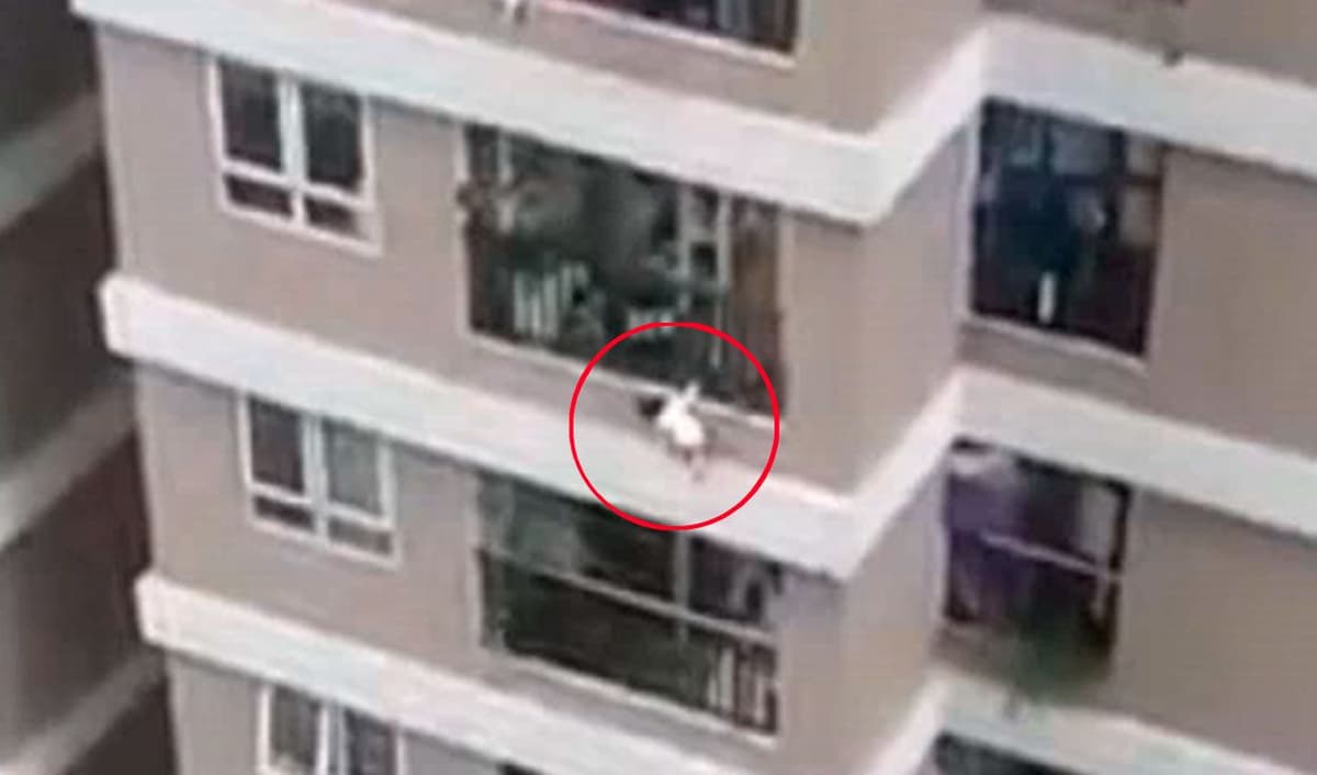 Video: Un repartidor salva a una niña que cayó de una altura de 12 pisos