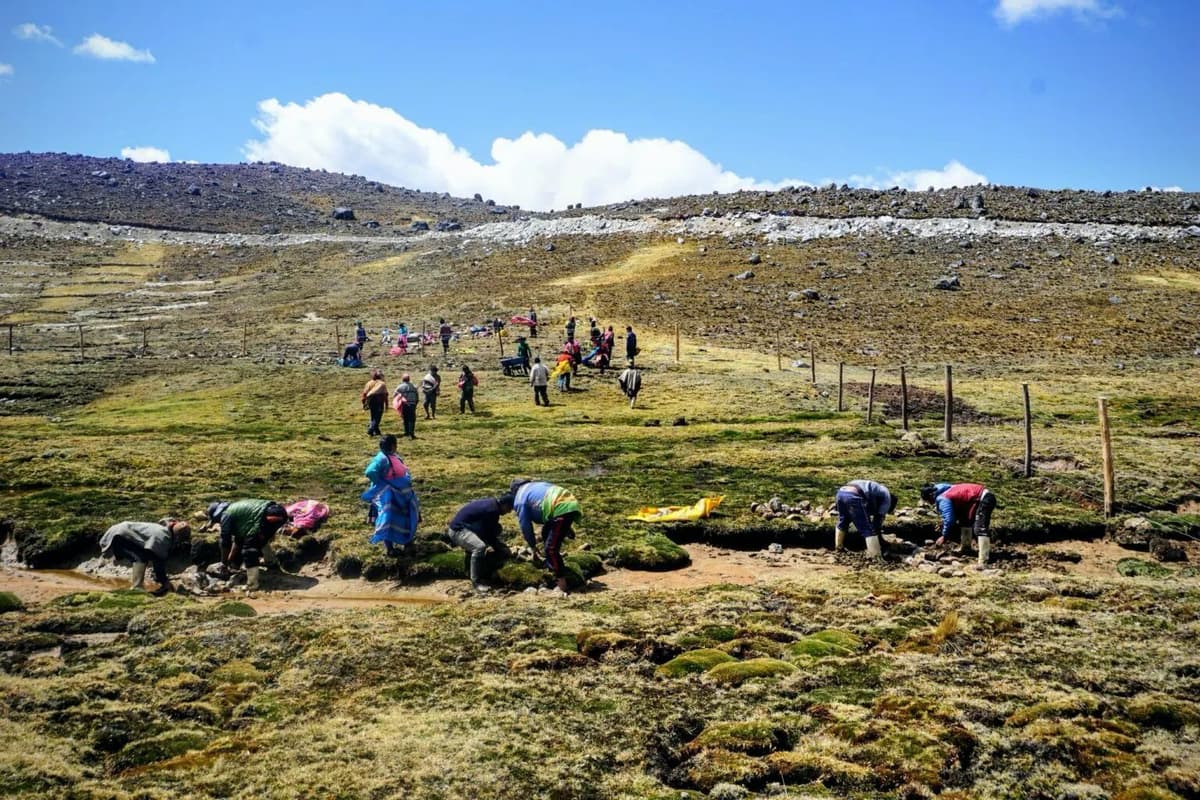 La preservación del agua de los Andes en Cusco halla su solución en Japu, donde ciencia y saberes ancestrales convergen.
