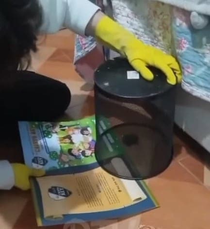 Los Portales: Reportan murciélagos dentro de viviendas y crece la preocupación vecinal